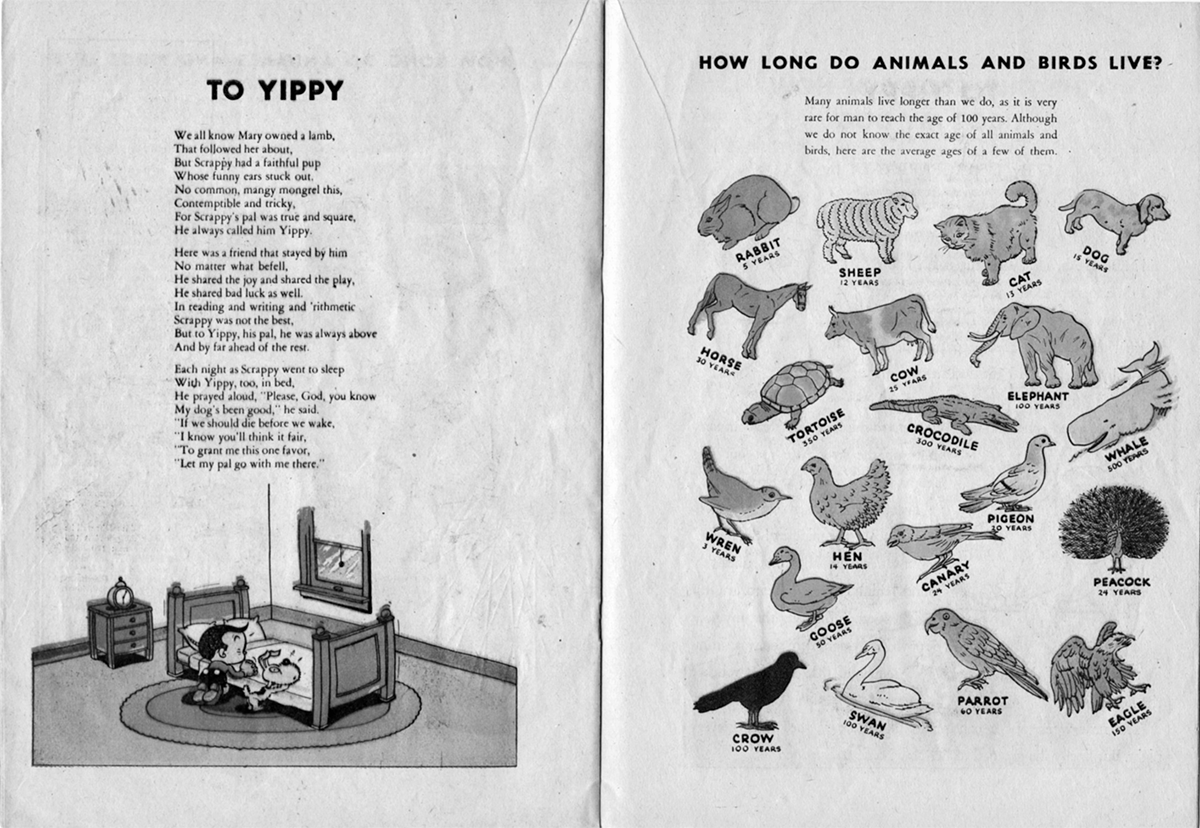 Scrappy's Own Magazine