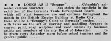 Scrappy in Bermuda